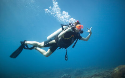 Beginner’s Guide to Scuba Diving in Tampa